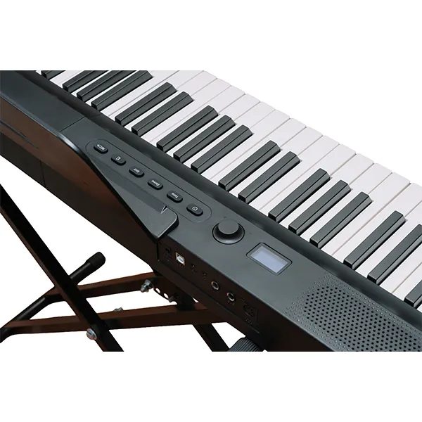 Music City – Tổng Kho Piano, Guitar, Organ | Dịch Vụ Giáo Dục Âm Nhạc