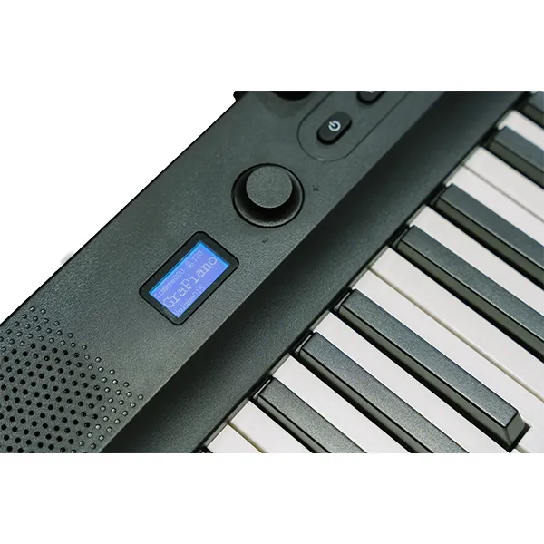 Music City – Tổng Kho Piano, Guitar, Organ | Dịch Vụ Giáo Dục Âm Nhạc