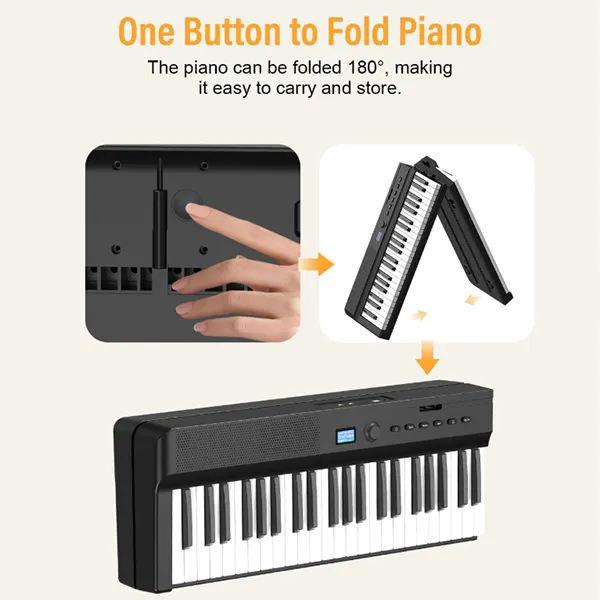 Music City – Tổng Kho Piano, Guitar, Organ | Dịch Vụ Giáo Dục Âm Nhạc