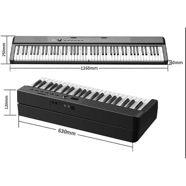 Music City – Tổng Kho Piano, Guitar, Organ | Dịch Vụ Giáo Dục Âm Nhạc