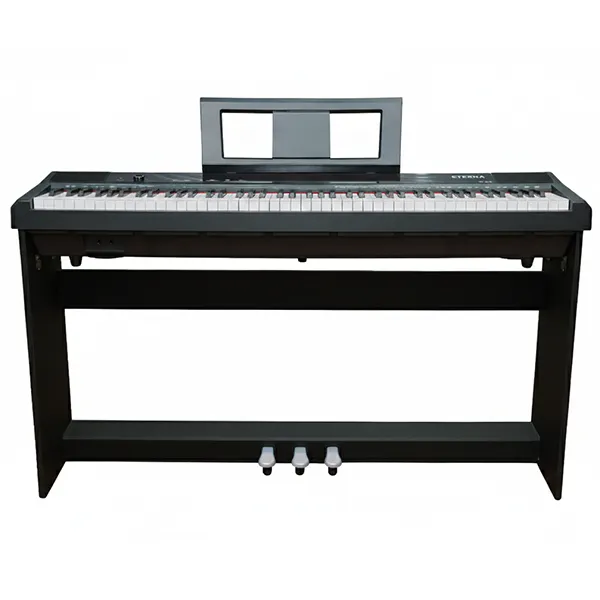 Music City – Tổng Kho Piano, Guitar, Organ | Dịch Vụ Giáo Dục Âm Nhạc