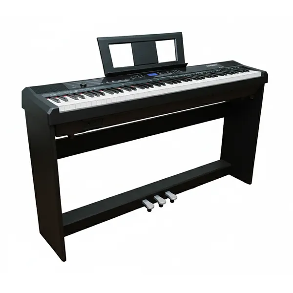 Music City – Tổng Kho Piano, Guitar, Organ | Dịch Vụ Giáo Dục Âm Nhạc