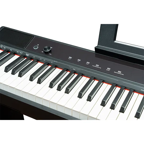 Music City – Tổng Kho Piano, Guitar, Organ | Dịch Vụ Giáo Dục Âm Nhạc