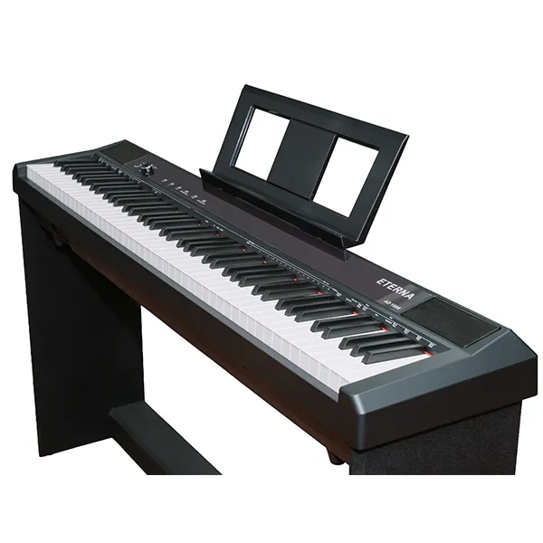 Music City – Tổng Kho Piano, Guitar, Organ | Dịch Vụ Giáo Dục Âm Nhạc