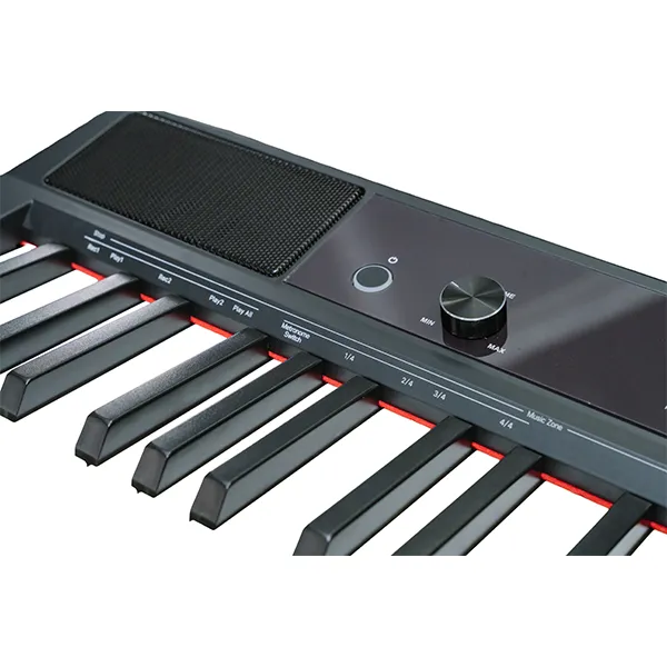Music City – Tổng Kho Piano, Guitar, Organ | Dịch Vụ Giáo Dục Âm Nhạc