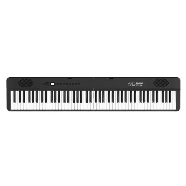 Music City – Tổng Kho Piano, Guitar, Organ | Dịch Vụ Giáo Dục Âm Nhạc