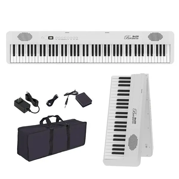 Music City – Tổng Kho Piano, Guitar, Organ | Dịch Vụ Giáo Dục Âm Nhạc