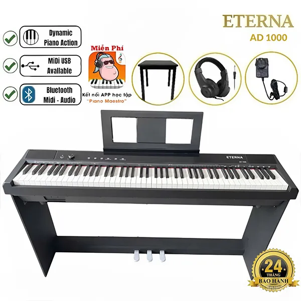 Music City – Tổng Kho Piano, Guitar, Organ | Dịch Vụ Giáo Dục Âm Nhạc