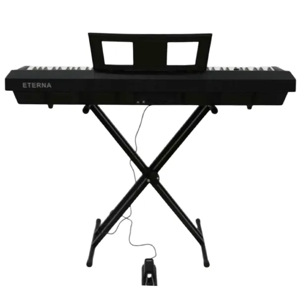 Music City – Tổng Kho Piano, Guitar, Organ | Dịch Vụ Giáo Dục Âm Nhạc