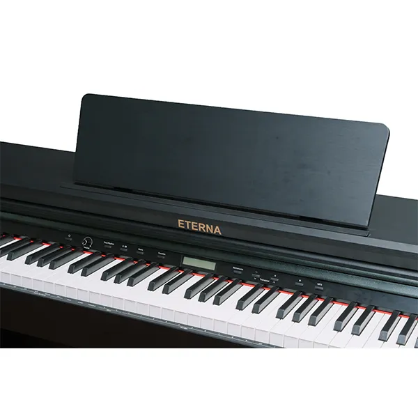 dan-piano-eterna-as1200-musiccity