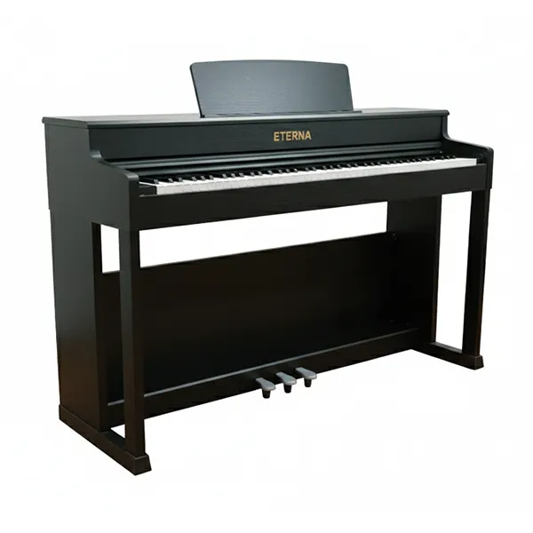 Music City – Tổng Kho Piano, Guitar, Organ | Dịch Vụ Giáo Dục Âm Nhạc