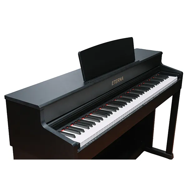 Music City – Tổng Kho Piano, Guitar, Organ | Dịch Vụ Giáo Dục Âm Nhạc