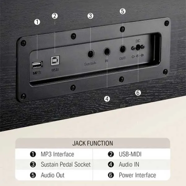 dan-piano-eterna-as1200-musiccity