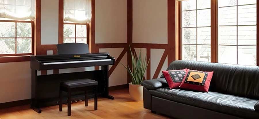 Music City – Tổng Kho Piano, Guitar, Organ | Dịch Vụ Giáo Dục Âm Nhạc