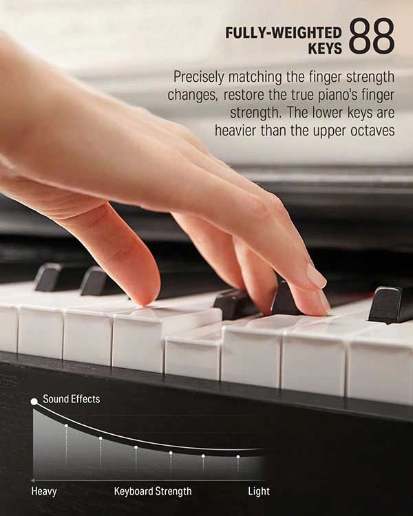 Music City – Tổng Kho Piano, Guitar, Organ | Dịch Vụ Giáo Dục Âm Nhạc