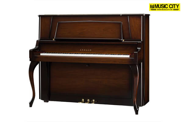 Music City – Tổng Kho Piano, Guitar, Organ | Dịch Vụ Giáo Dục Âm Nhạc
