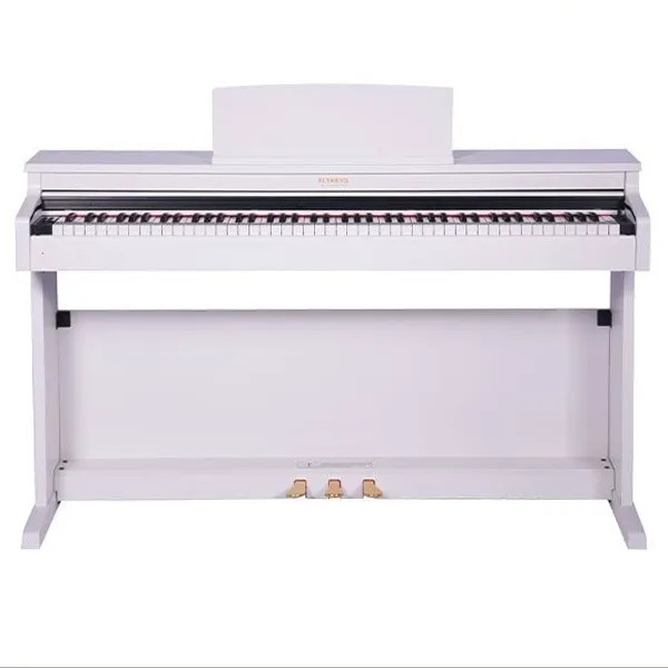 Music City – Tổng Kho Piano, Guitar, Organ | Dịch Vụ Giáo Dục Âm Nhạc