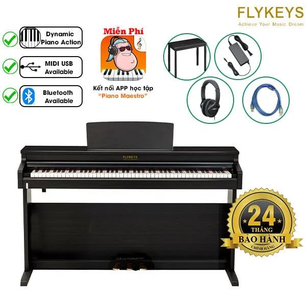 Music City – Tổng Kho Piano, Guitar, Organ | Dịch Vụ Giáo Dục Âm Nhạc