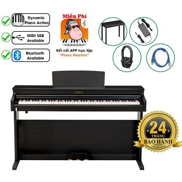 Music City – Tổng Kho Piano, Guitar, Organ | Dịch Vụ Giáo Dục Âm Nhạc