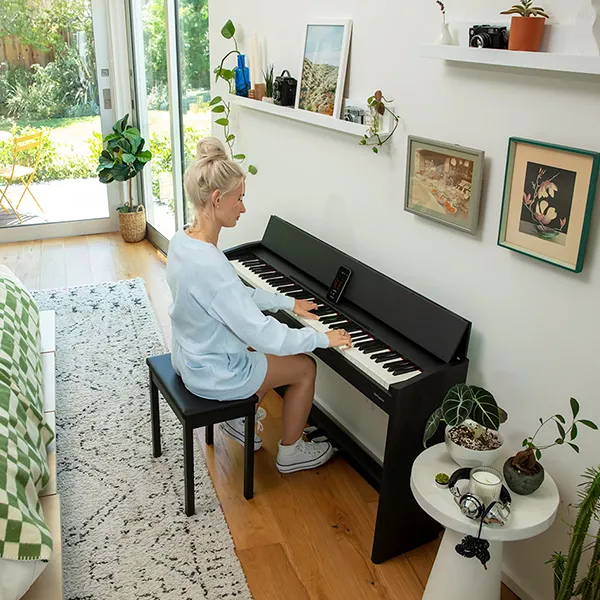 Music City – Tổng Kho Piano, Guitar, Organ | Dịch Vụ Giáo Dục Âm Nhạc