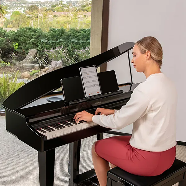 Music City – Tổng Kho Piano, Guitar, Organ | Dịch Vụ Giáo Dục Âm Nhạc