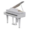 dan-piano-roland-gp6-musiccity