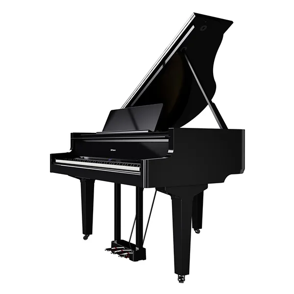 Music City – Tổng Kho Piano, Guitar, Organ | Dịch Vụ Giáo Dục Âm Nhạc