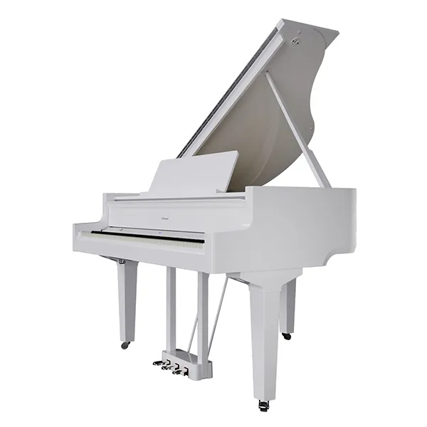 Music City – Tổng Kho Piano, Guitar, Organ | Dịch Vụ Giáo Dục Âm Nhạc