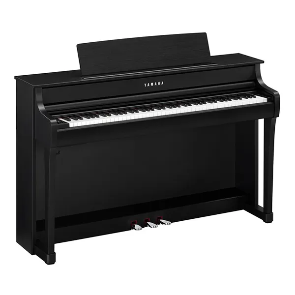 Music City – Tổng Kho Piano, Guitar, Organ | Dịch Vụ Giáo Dục Âm Nhạc
