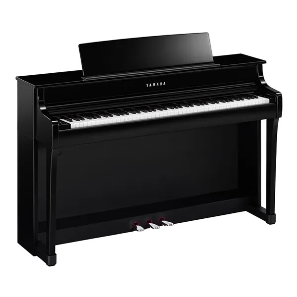 Music City – Tổng Kho Piano, Guitar, Organ | Dịch Vụ Giáo Dục Âm Nhạc