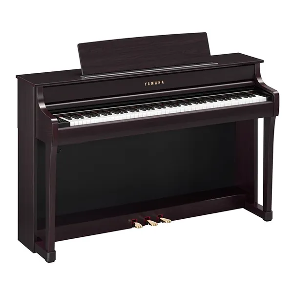 Music City – Tổng Kho Piano, Guitar, Organ | Dịch Vụ Giáo Dục Âm Nhạc