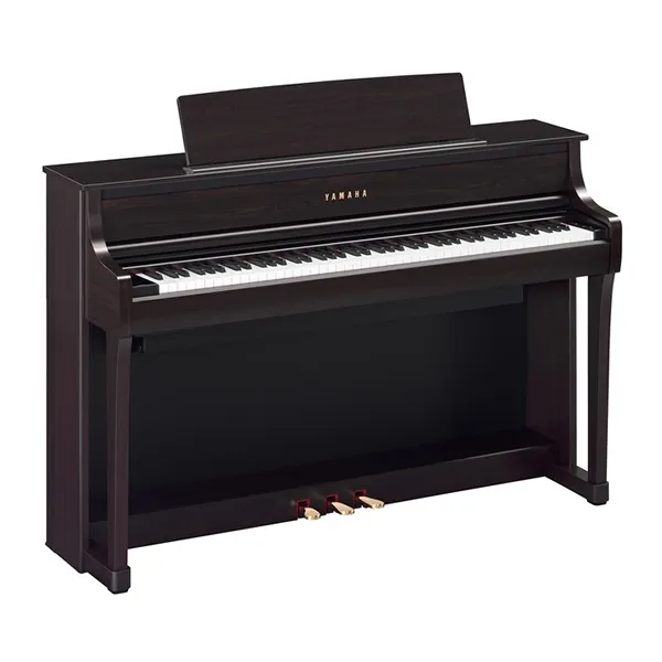 Music City – Tổng Kho Piano, Guitar, Organ | Dịch Vụ Giáo Dục Âm Nhạc