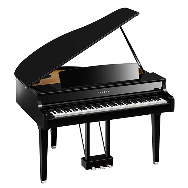 Music City – Tổng Kho Piano, Guitar, Organ | Dịch Vụ Giáo Dục Âm Nhạc