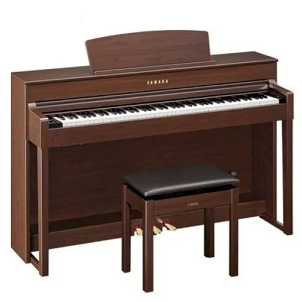 Music City – Tổng Kho Piano, Guitar, Organ | Dịch Vụ Giáo Dục Âm Nhạc
