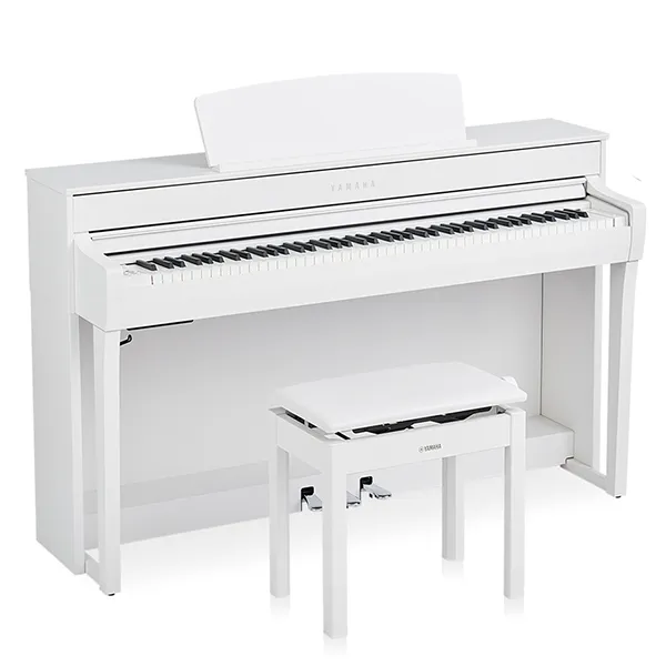 Music City – Tổng Kho Piano, Guitar, Organ | Dịch Vụ Giáo Dục Âm Nhạc