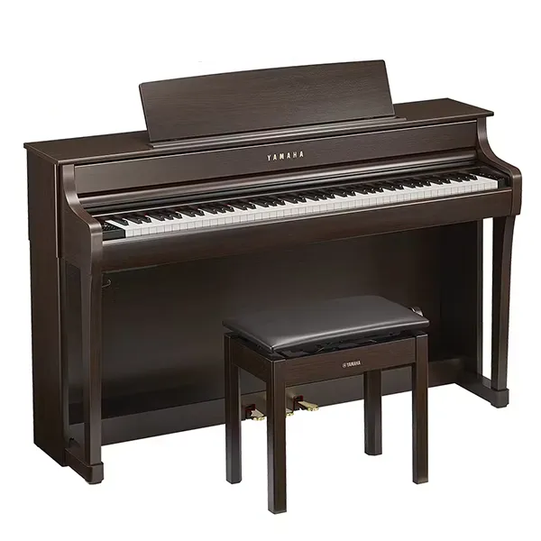 Music City – Tổng Kho Piano, Guitar, Organ | Dịch Vụ Giáo Dục Âm Nhạc