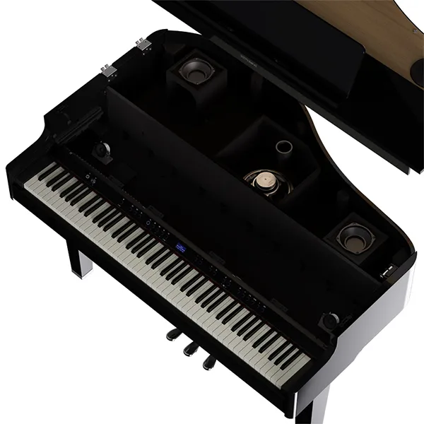 dan-piano-roland-gp6-musiccity