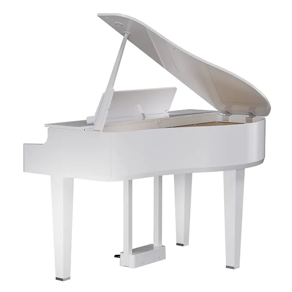 Music City – Tổng Kho Piano, Guitar, Organ | Dịch Vụ Giáo Dục Âm Nhạc
