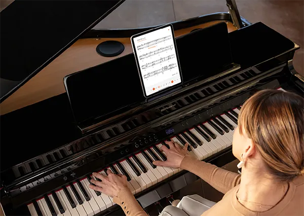 Music City – Tổng Kho Piano, Guitar, Organ | Dịch Vụ Giáo Dục Âm Nhạc