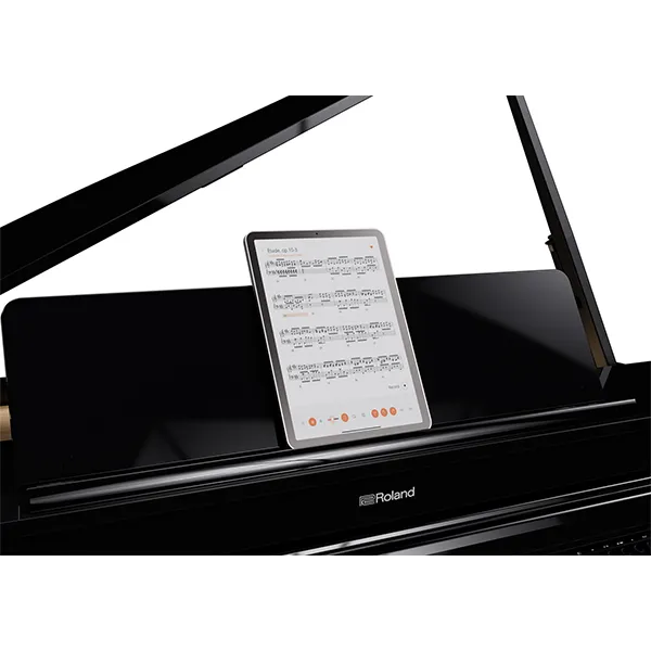 Music City – Tổng Kho Piano, Guitar, Organ | Dịch Vụ Giáo Dục Âm Nhạc