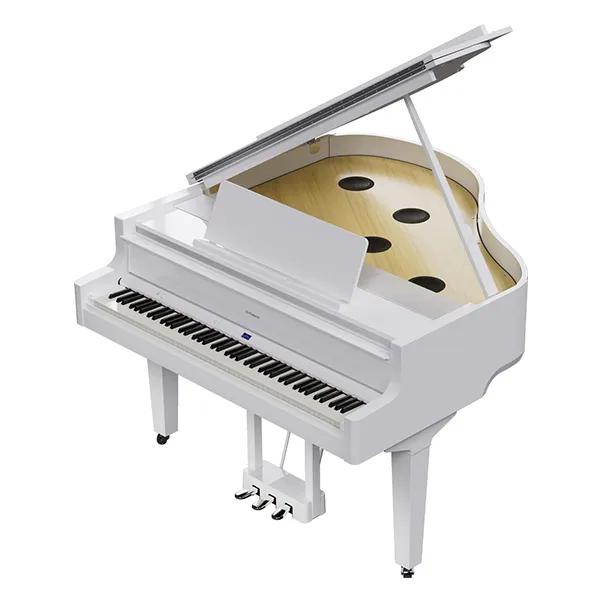 Music City – Tổng Kho Piano, Guitar, Organ | Dịch Vụ Giáo Dục Âm Nhạc