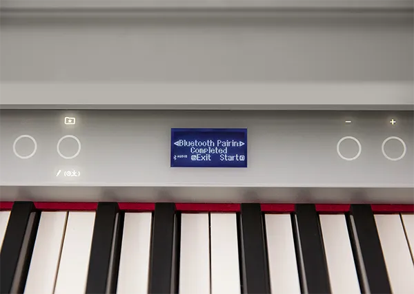 Music City – Tổng Kho Piano, Guitar, Organ | Dịch Vụ Giáo Dục Âm Nhạc