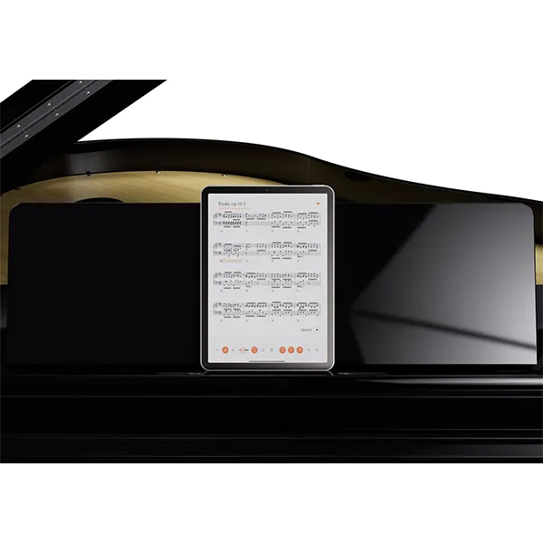Music City – Tổng Kho Piano, Guitar, Organ | Dịch Vụ Giáo Dục Âm Nhạc