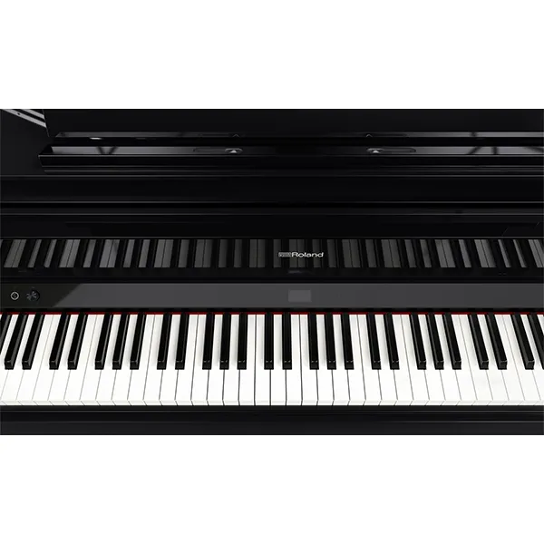 Music City – Tổng Kho Piano, Guitar, Organ | Dịch Vụ Giáo Dục Âm Nhạc