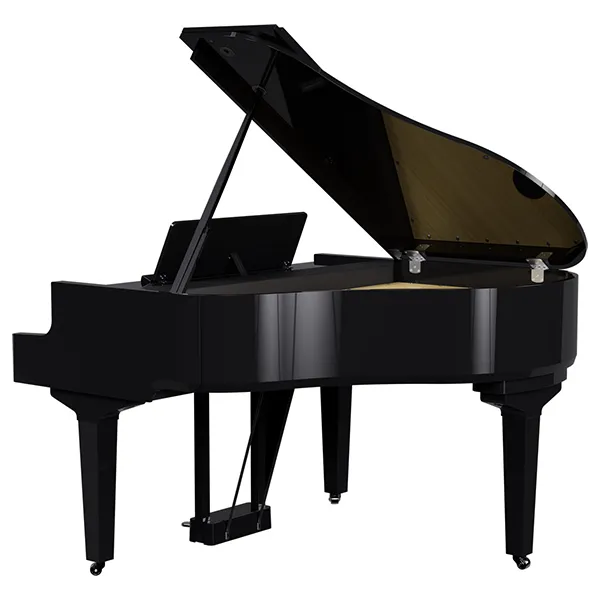 Music City – Tổng Kho Piano, Guitar, Organ | Dịch Vụ Giáo Dục Âm Nhạc