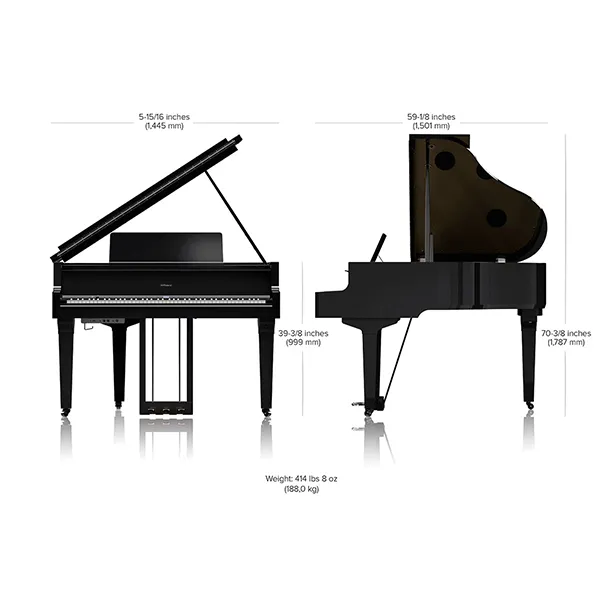 Music City – Tổng Kho Piano, Guitar, Organ | Dịch Vụ Giáo Dục Âm Nhạc