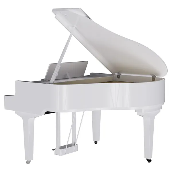 Music City – Tổng Kho Piano, Guitar, Organ | Dịch Vụ Giáo Dục Âm Nhạc