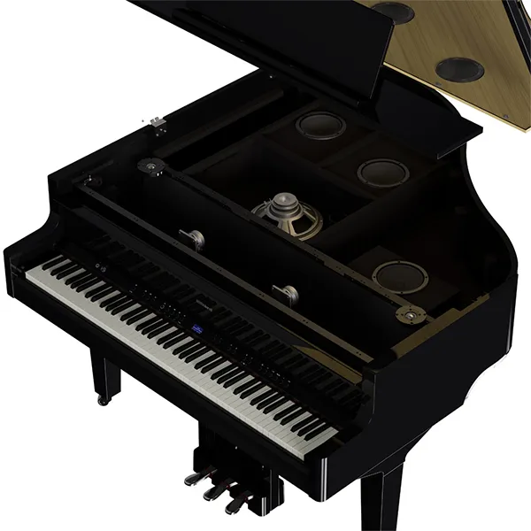 Music City – Tổng Kho Piano, Guitar, Organ | Dịch Vụ Giáo Dục Âm Nhạc
