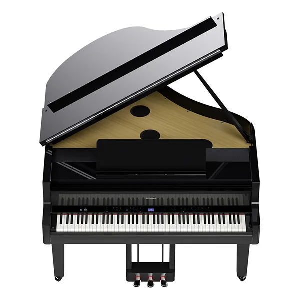 Music City – Tổng Kho Piano, Guitar, Organ | Dịch Vụ Giáo Dục Âm Nhạc