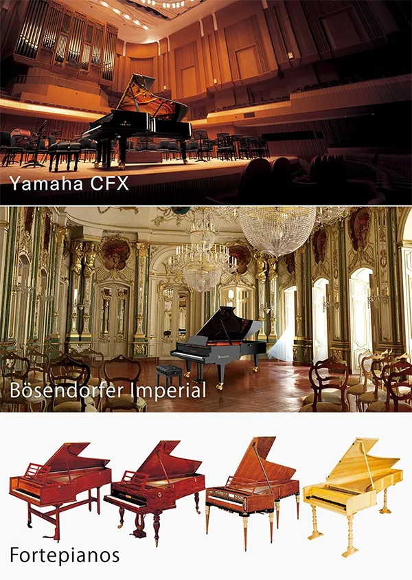 Music City – Tổng Kho Piano, Guitar, Organ | Dịch Vụ Giáo Dục Âm Nhạc